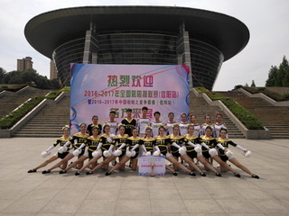 kb体育在2017年河南省学生健身...